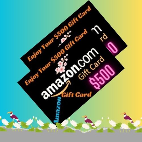 New Amazon Gift Card For 2024